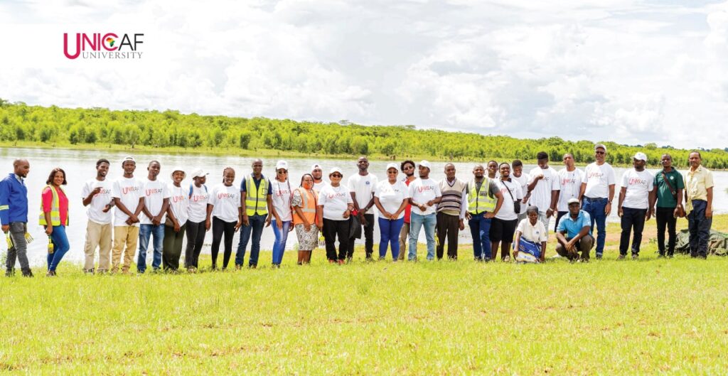 Tree planting team