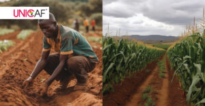 Le futur de l’agriculture en Afrique