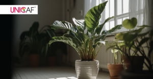 Indoor Plants and Their Dual Impact on Air Quality and Mental Health
