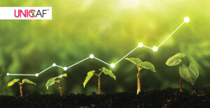 The Impact of Education on African Economies