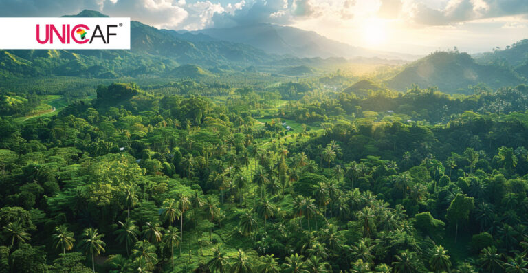 Reforestation Initiatives Unicaf